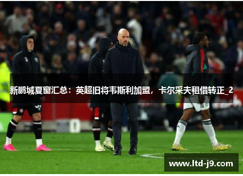 新鹏城夏窗汇总：英超旧将韦斯利加盟，卡尔采夫租借转正_2